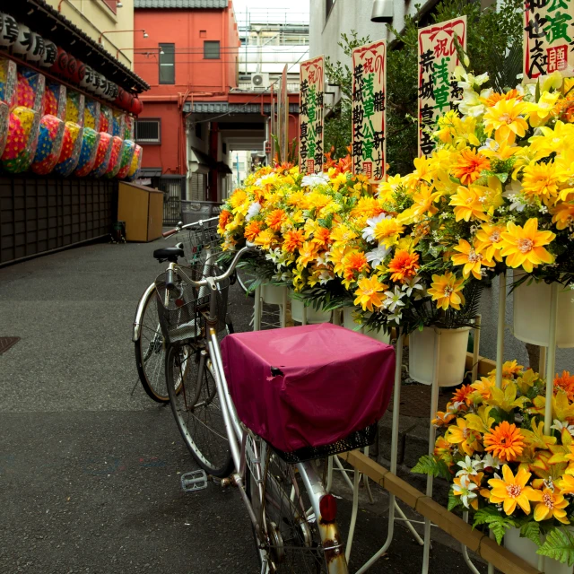 a bicycle with flowers and a seat cover parked near it