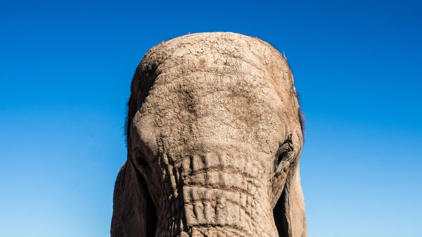 a large elephant statue sitting on top of a beach
