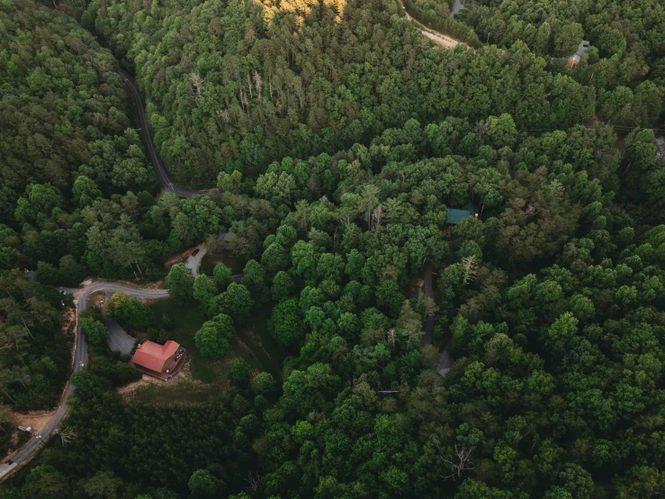 an aerial view of a forest with road going through it