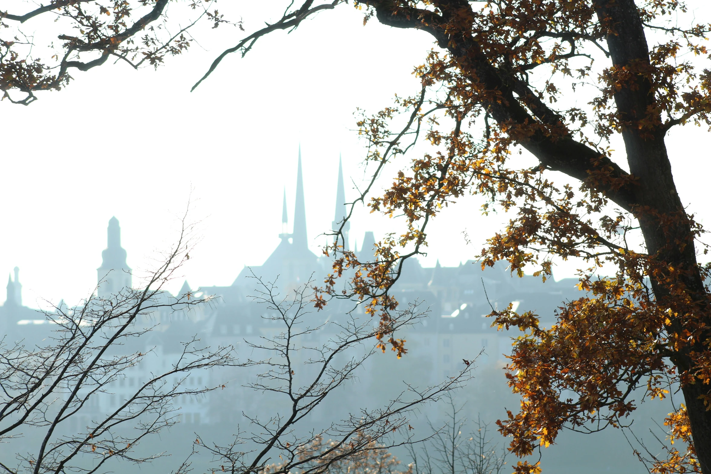 an image of a building with spires on it's roof