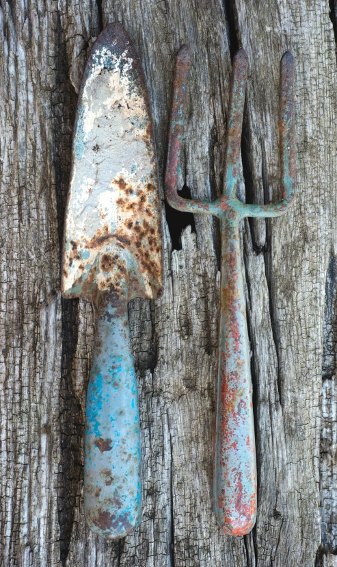 rusty old rusted iron keys hang on wooden fence