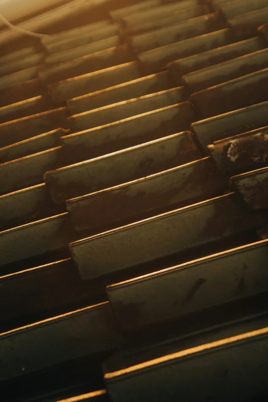 wood in close up is shown with sun streaming through it