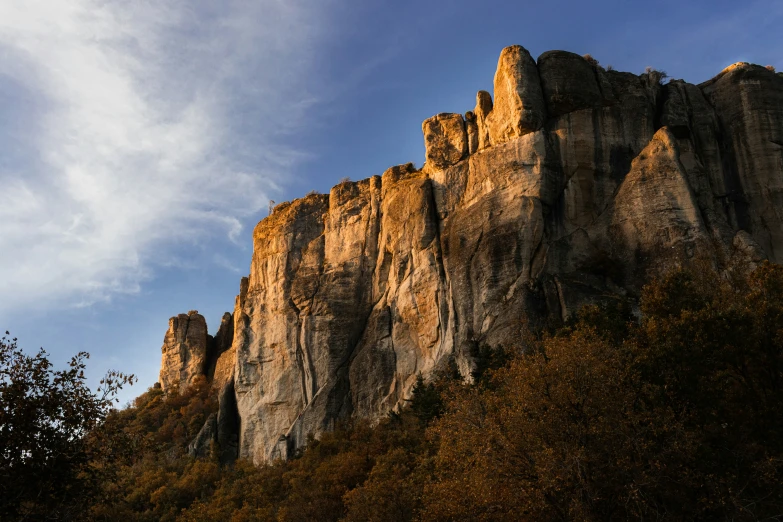 a tall rock tower towering over a forest