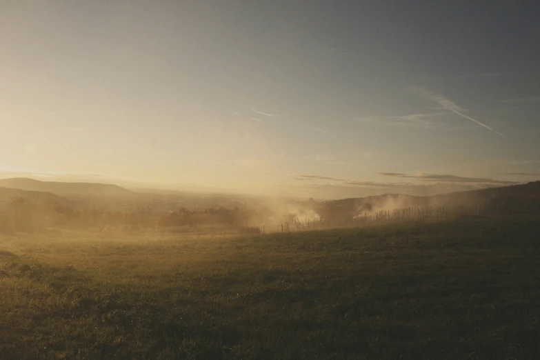 a horse that is grazing on grass with dust