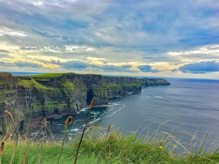 the cliffs of the coast near a grassy field