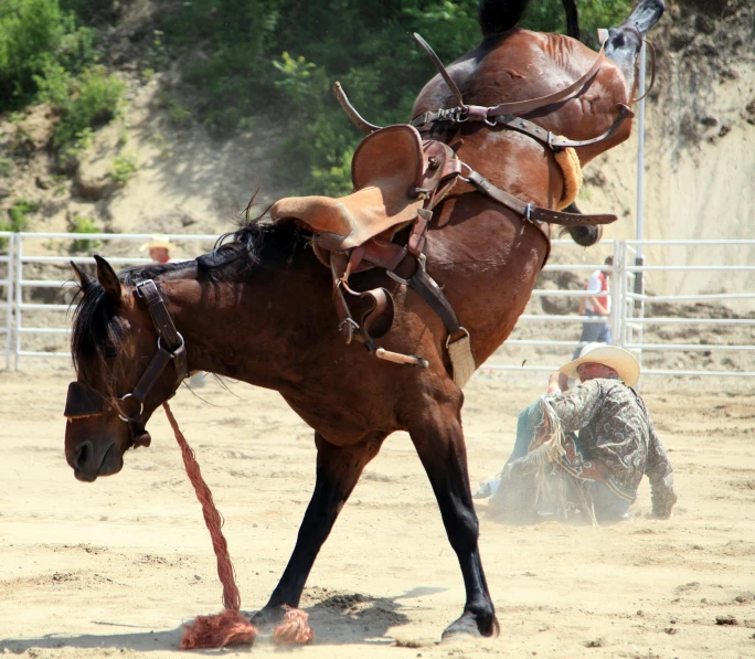 there is a man that is sitting on a horse