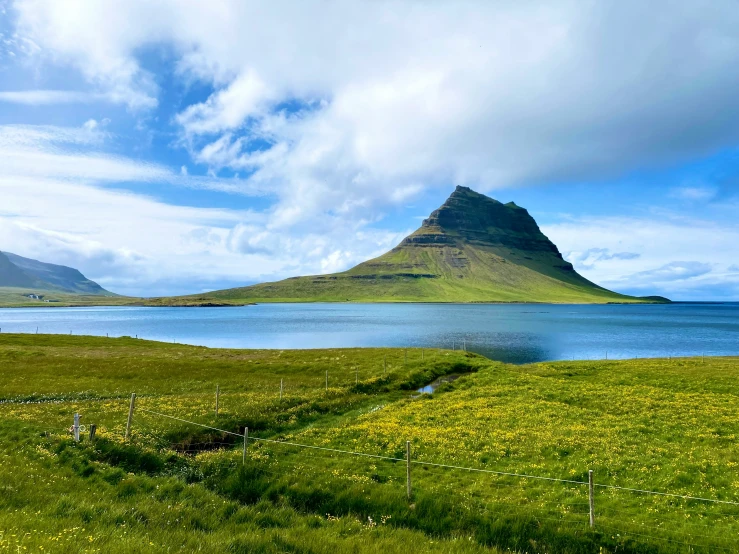 an open field with water, hills and flowers