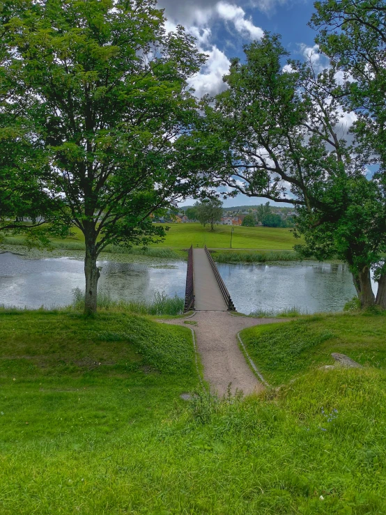 a path that leads to water with trees