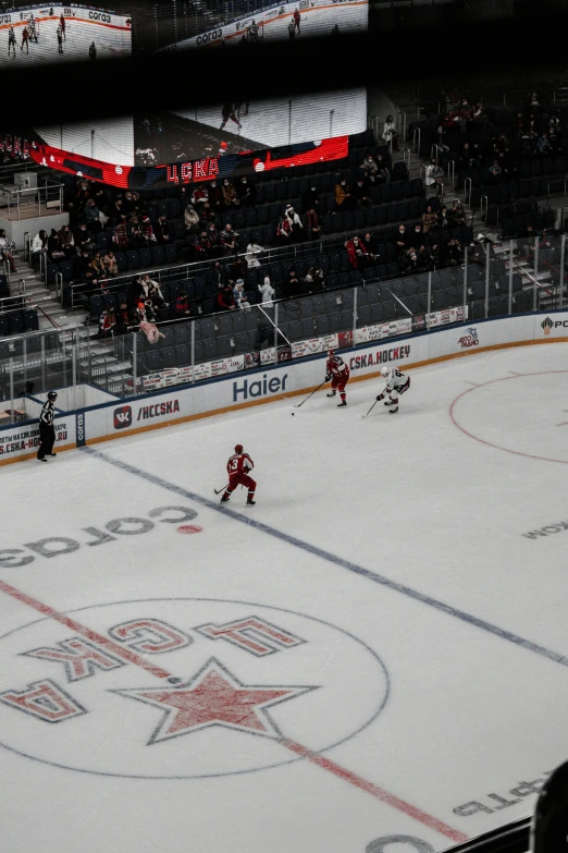 hockey players playing during the winter and a crowd watching