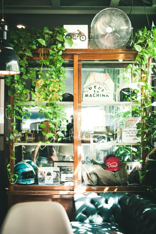 a room with many different types of plants on display