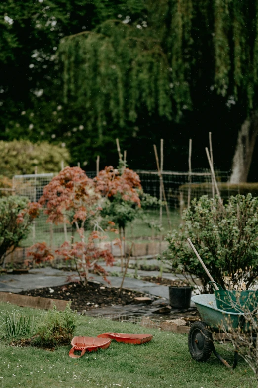 wheelbarrow, cart, and flowers in the yard