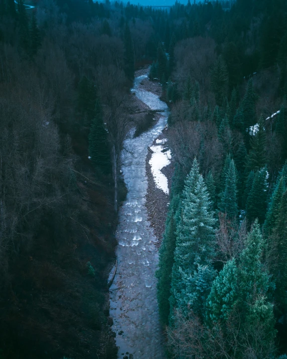 a small river in the middle of a forest