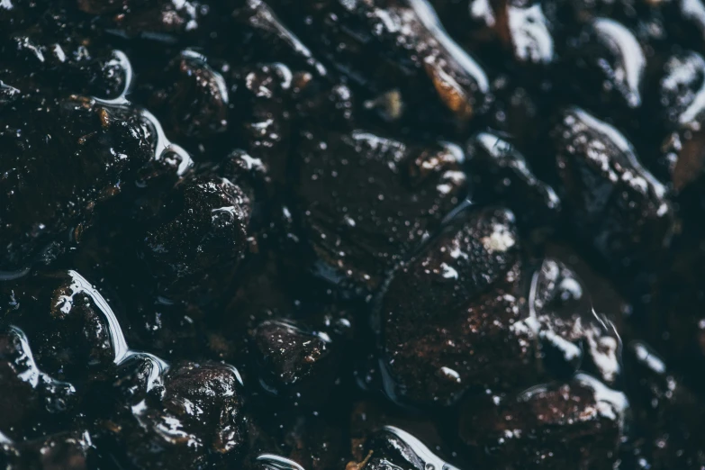 close up of chocolate chip cookies coated in chocolate frosting