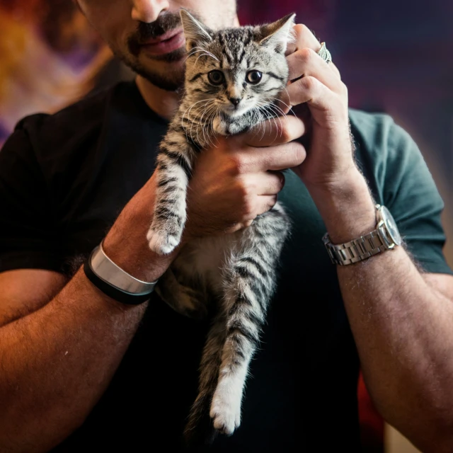 a man holding a striped kitten inside of his hands