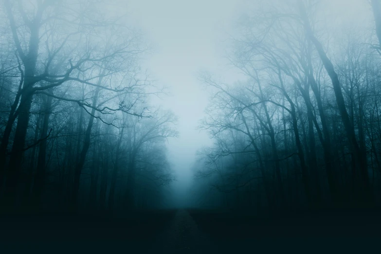 there is a very dark, foggy road that leads to the woods