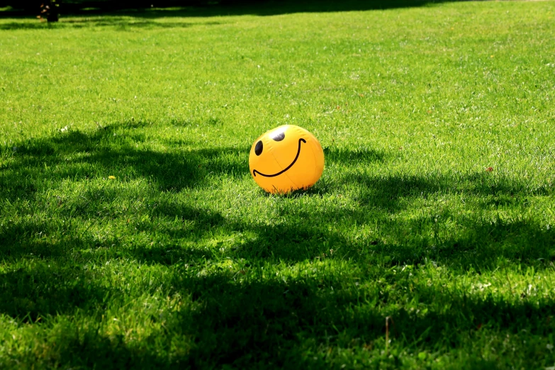 a yellow ball sitting in the middle of the green lawn