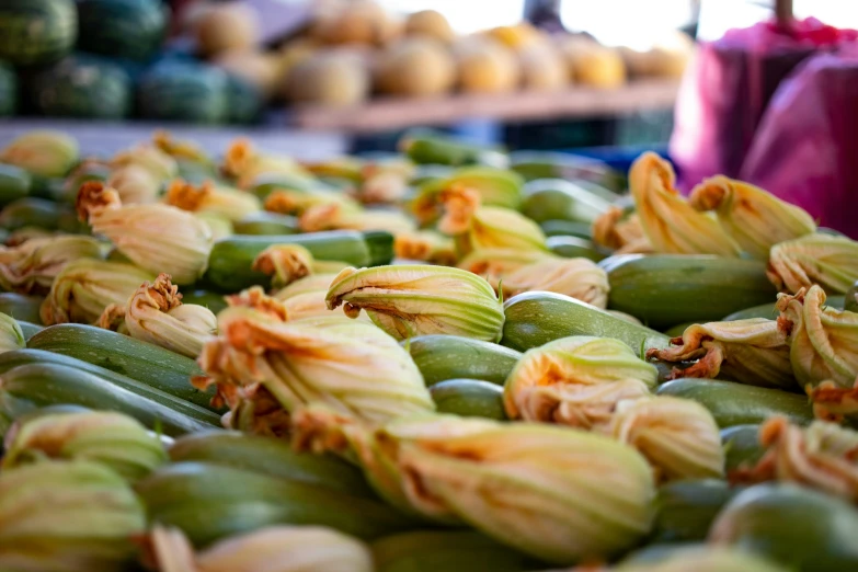 this market contains large vegetables on display with price tag