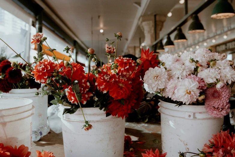 four buckets that have flowers inside of them