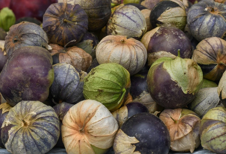 several plums of various different shades and sizes and covered with leaves