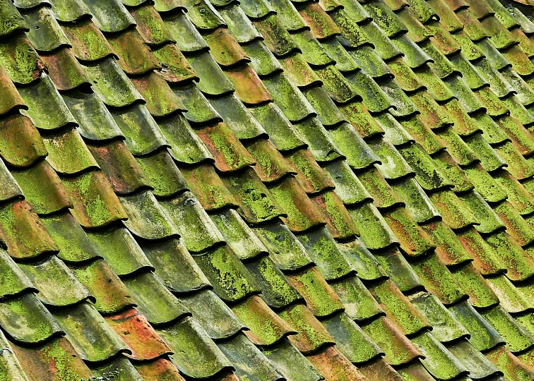 an aerial view of an old tiled roof covered in moss