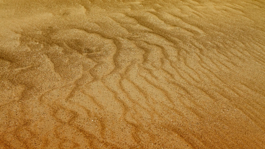 sand has small ridges in the center, on a sand dune