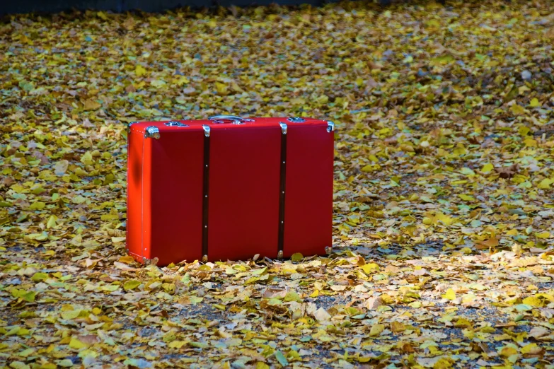 an orange suitcase sitting alone in the middle of leaves