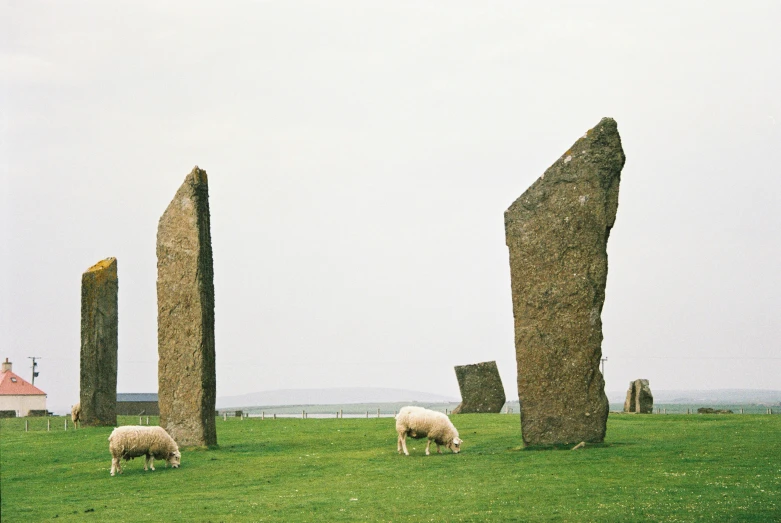 a couple of sheep grazing near some very large stone slabs