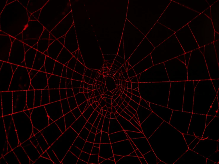 looking up at a red spider web with black background