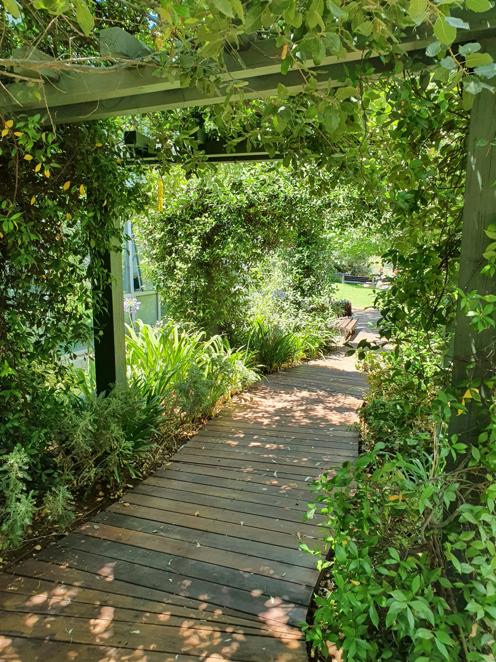 an image of a garden path that is very beautiful