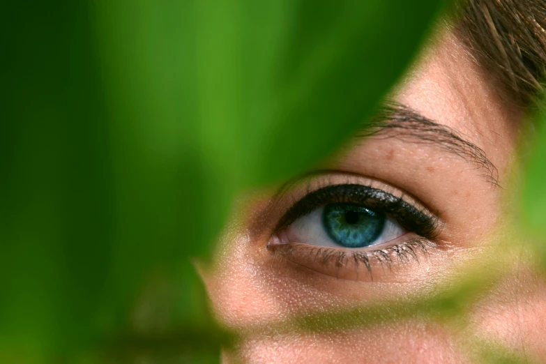 a blue eye with a leaf and green background