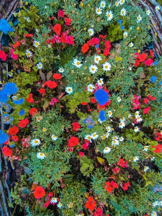 many colorful flowers in a basket on the ground