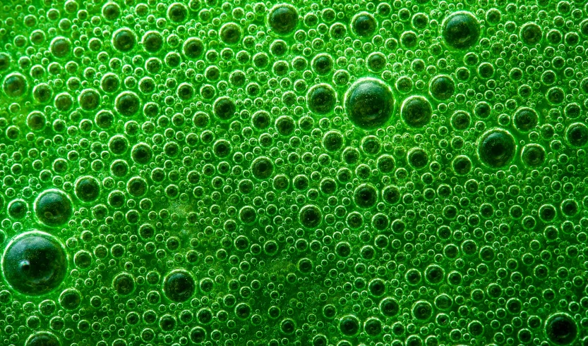 a group of bubbles with the top in green