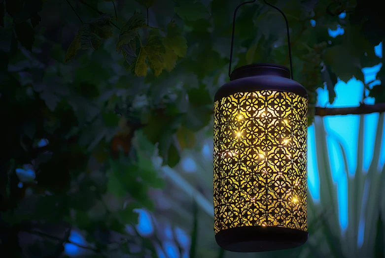 a lamp hanging from a tree in a forest