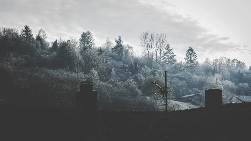 this is a very scenic view of the tree - lined mountains