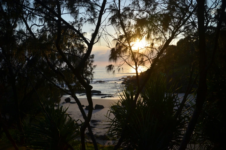 the sunset over some trees and rocks at the ocean