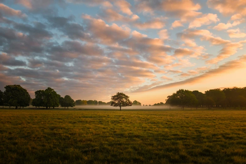 a foggy, grass field with trees and a few clouds