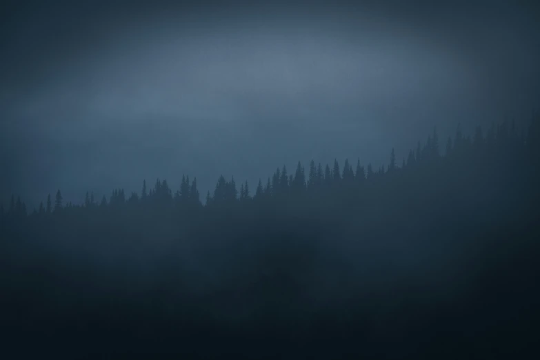 a very dark and cloudy tree covered hillside