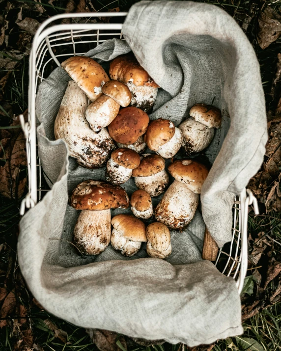 a white basket full of fresh and dried bread