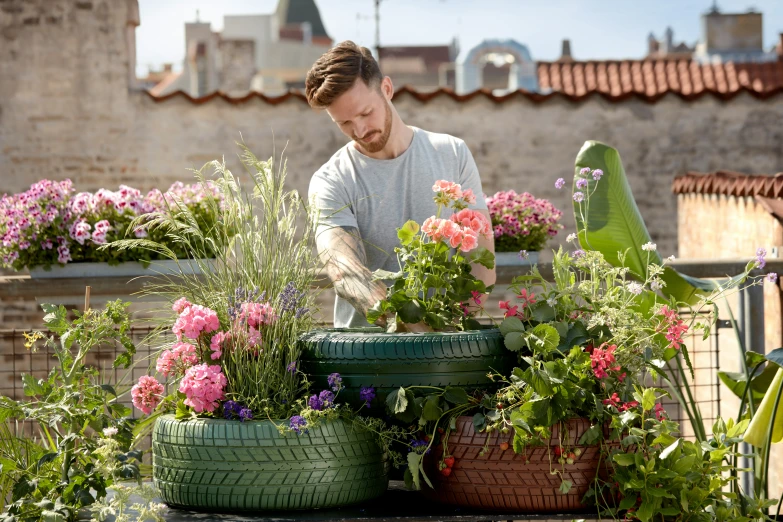 a man putting flowers in three large planters