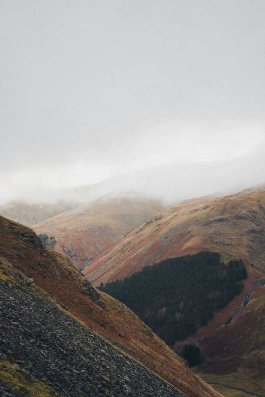 there are two trees that are on the mountains