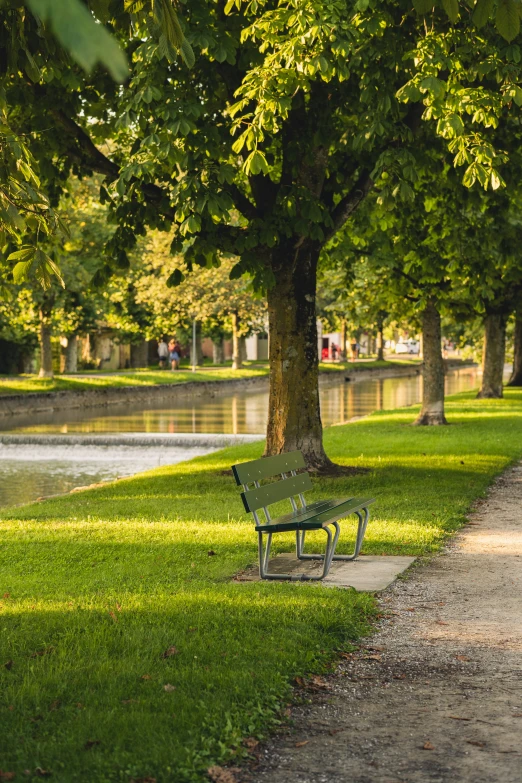 a bench sitting next to a lush green park