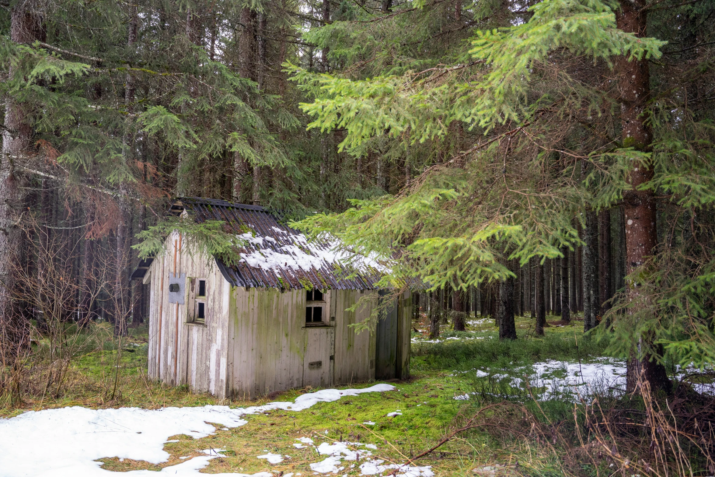 an old shed sitting in the woods with snow around it