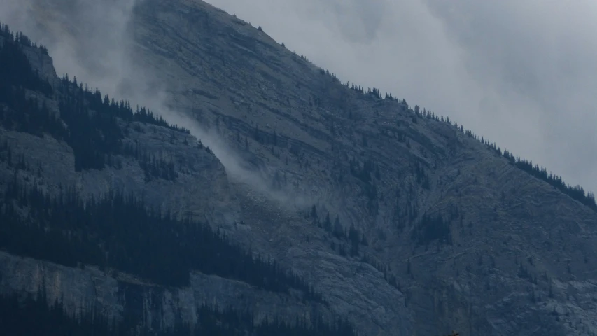 a bird flying over a tree covered mountain