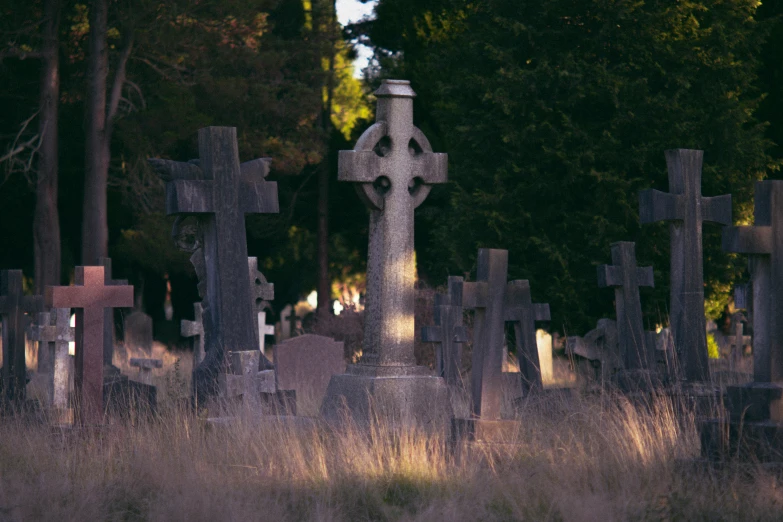 there are many different types of graves in the park