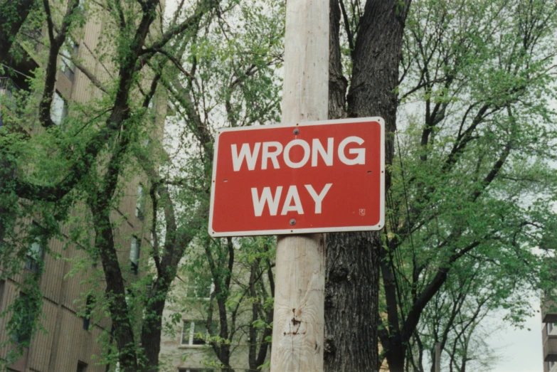 a wrong way sign attached to a tree