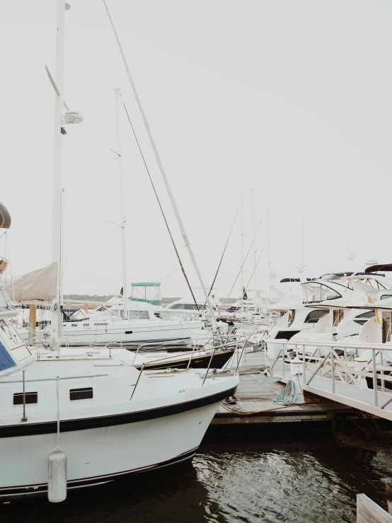 many boats are docked in the water and one is white