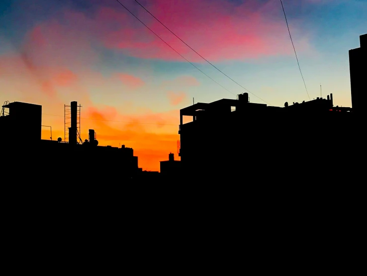 some birds flying above a city with many buildings