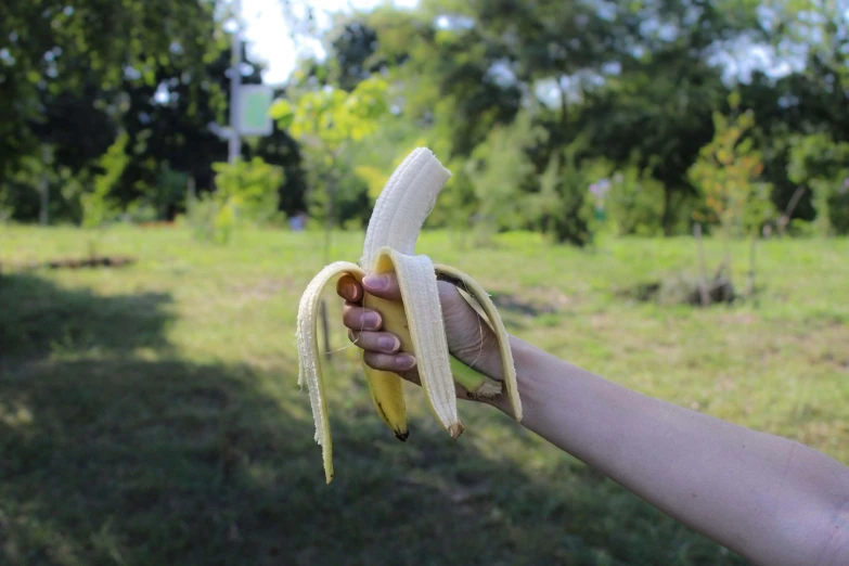 a hand is holding a banana with a thin stalk