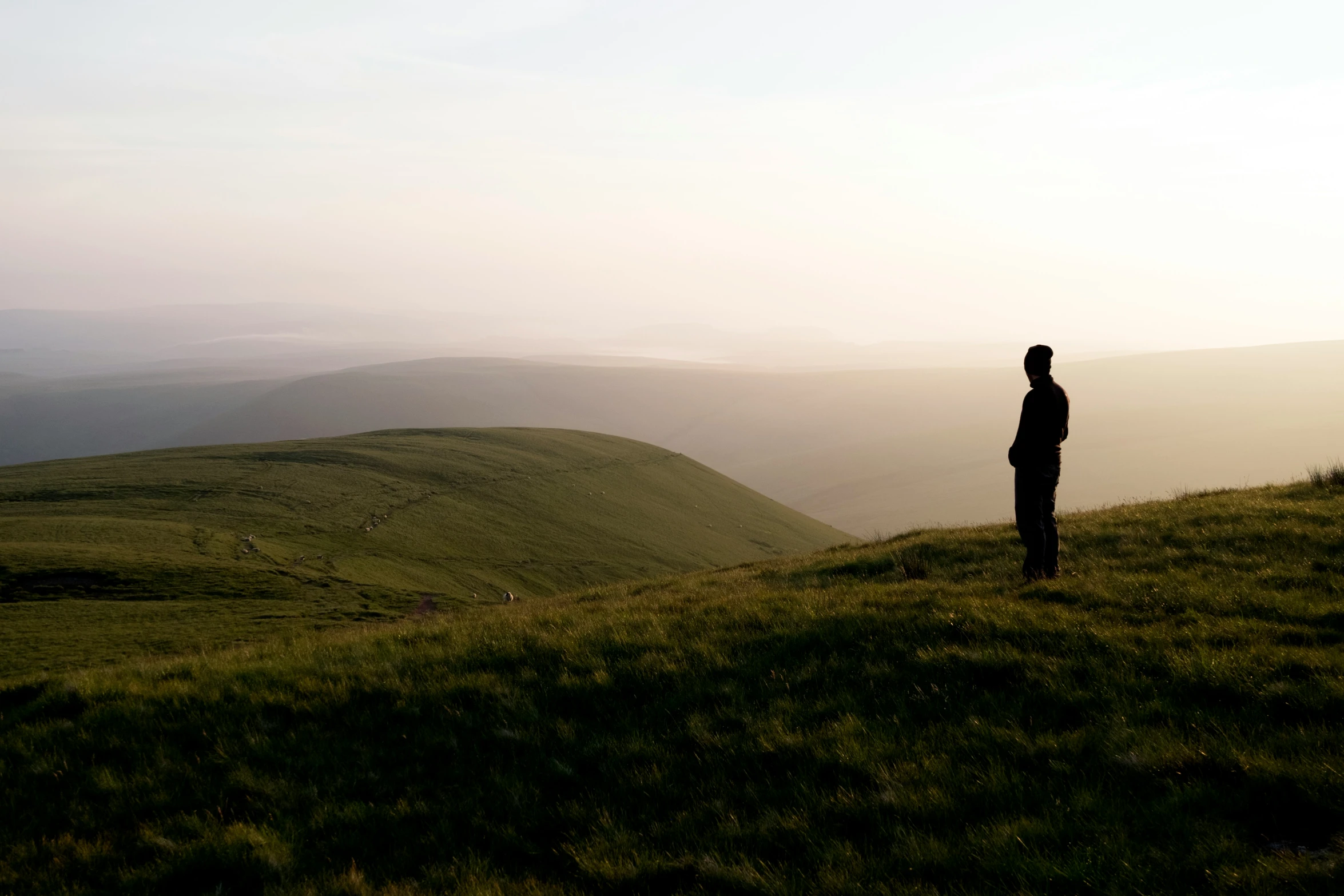 silhouette of person standing on grassy slope with large valley in distance