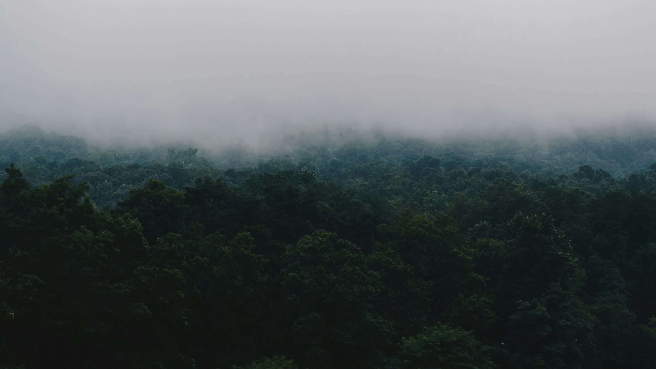 the plane is flying over the trees on a cloudy day